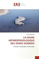 Rekia CHENNOUF - LA FAUNE ARTHROPODOLOGIQUE DES ZONES HUMIDES