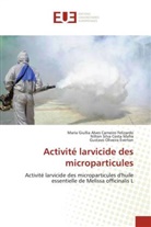 Gustavo Oliveira Everton, Maria Giullia Alves Carneiro Felizardo, Nilton Silva Costa Mafra - Activité larvicide des microparticules