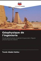 Tarek Abdel-Hafez - Géophysique de l'ingénierie
