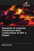 Rajan Kumar - Nanotubi di carbonio sintetizzati dalla combustione di GPL e biogas