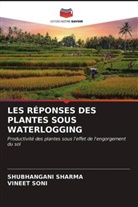 Shubhangani Sharma, Vineet Soni - LES RÉPONSES DES PLANTES SOUS WATERLOGGING