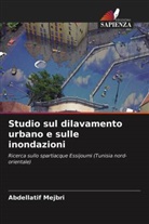 Abdellatif Mejbri - Studio sul dilavamento urbano e sulle inondazioni