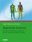 Ingrid Wancura-Kampik - Segmental Anatomy