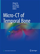 Demin Han, Zilong Yu, Lu Zhang, Luo Zhang - Micro-CT of Temporal Bone