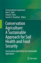 Ra C Dalal, Ram C Dalal, Suresh K. Chaudhari, Ram C. Dalal, Somasundaram Jayaraman, Ashok K Patra et al... - Conservation Agriculture: A Sustainable Approach for Soil Health and Food Security
