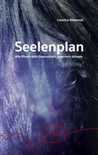Caroline Raimondi - Seelenplan