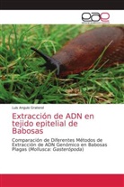 Luis Angulo Graterol - Extracción de ADN en tejido epitelial de Babosas