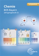 Ev Fiedler, Eva Fiedler, Eva Strobel, Hubert Wirth - Chemie BOS Bayern - Jgst. 12