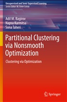 Naps Karmitsa, Napsu Karmitsa, Adi M Bagirov, Adil M Bagirov, Adil M. Bagirov, Sona Taheri - Partitional Clustering via Nonsmooth Optimization