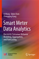 Qixi Chen, Qixin Chen, Chongqing Kang, Y Wang, Yi Wang - Smart Meter Data Analytics