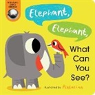 Amelia Hepworth, Pintachan - Elephant, Elephant, What Can You See?