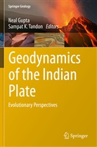 Nea Gupta, Neal Gupta, K Tandon, K Tandon, Sampat K. Tandon - Geodynamics of the Indian Plate