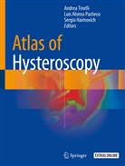 Lui Alonso Pacheco, Luis Alonso Pacheco, Sergio Haimovich, Andrea Tinelli - Atlas of Hysteroscopy
