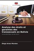 Diego Arnez Morales - Analyse des droits et garanties des transsexuels en Bolivie