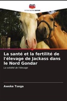 Aweke Tsega - La santé et la fertilité de l'élevage de Jackass dans le Nord Gondar
