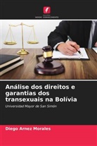 Diego Arnez Morales - Análise dos direitos e garantias dos transexuais na Bolívia
