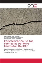 Sarasvati Seidad Esquivel Izquierdo, Andrés Felipe Ospina Rodríguez, Janer Enrique Tovar Guzman - Caracterización De Las Patologías Del Muro Perimetral Del Itfip.