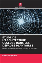 Pawan Agarwal - ÉTUDE DE L'ARCHITECTURE OSSEUSE DANS LES DÉFAUTS PLANTAIRES
