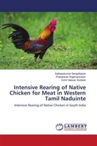 PRABAKARAN RAJAMANICKAM, Satheeskumar Sengottaiyan, Ezhil Valavan Subbiah - Intensive Rearing of Native Chicken for Meat in Western Tamil Naduinte