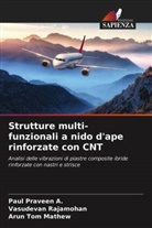 Arun Tom Mathew, Paul Praveen A., Vasudevan Rajamohan - Strutture multi-funzionali a nido d'ape rinforzate con CNT