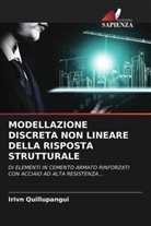 Irivn Quillupangui - MODELLAZIONE DISCRETA NON LINEARE DELLA RISPOSTA STRUTTURALE