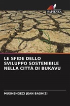 MUSHENGEZI JEAN BASHIZI - LE SFIDE DELLO SVILUPPO SOSTENIBILE NELLA CITTÀ DI BUKAVU