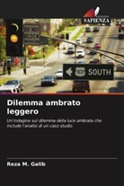 Reza M. Galib - Dilemma ambrato leggero