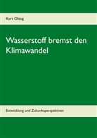 Kurt Olzog - Wasserstoff bremst den Klimawandel