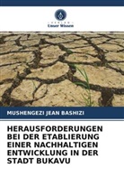 Mushengezi Jean Bashizi - HERAUSFORDERUNGEN BEI DER ETABLIERUNG EINER NACHHALTIGEN ENTWICKLUNG IN DER STADT BUKAVU