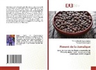 Gustavo Oliveira Everton, Thércia Gabrielle Teixeira Martins, Ana Patrícia Matos Pereira - Piment de la Jamaïque