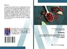 Gustavo Oliveira Everton, Thércia Gabrielle Teixeira Martins, Paulo Vi Rosa, Paulo Victor Serra Rosa - Piment