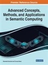 Olawande Daramola, Thomas Moser - Advanced Concepts, Methods, and Applications in Semantic Computing