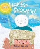 Elliot Kreloff - The Luckiest Snowball