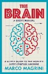 Marco Magrini - The Brain: A User's Manual