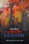 Ignacio Lopez-Calvo, Ignacio Lopez-Calvo, Ignacio López-Calvo - History of Chilean Literature