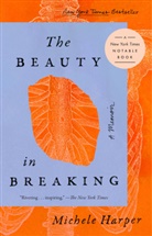Michele Harper - The Beauty in Breaking