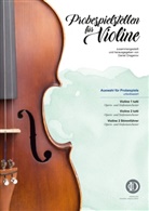 Daniel Draganov - Probespielstellen für Violine
