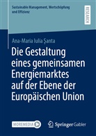 Ana-Maria Iulia ¿Anta, Ana-Maria Iulia anta, Ana-Maria Iulia Santa - Die Gestaltung eines gemeinsamen Energiemarktes auf der Ebene der Europäischen Union