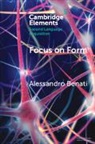 Alessandro Benati, Alessandro (The University of Hong Kong) Benati - Focus on Form