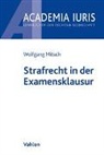 Wolfgang Mitsch, Wolfgang (Dr.) Mitsch - Strafrecht in der Examensklausur