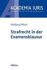 Wolfgang Mitsch, Wolfgang (Dr.) Mitsch - Strafrecht in der Examensklausur