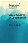 Brett R Fajen, Brett R. Fajen, Brett R. (Rensselaer Polytechnic Institute Fajen - Visual Control of Locomotion