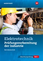 Markus Asmuth, Ud Fischer, Udo Fischer, Marku Schindzielorz, Markus Schindzielorz - Prüfungsvorbereitung für die industriellen Elektroberufe