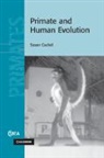 Susan Cachel, Susan (Rutgers University Cachel, Cachel Susan - Primate and Human Evolution