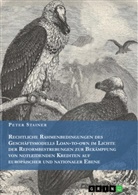 Peter Stainer - Rechtliche Rahmenbedingungen des Geschäftsmodells Loan-to-own im Lichte der Reformbestrebungen zur Bekämpfung von notleidenden Krediten auf europäischer und nationaler Ebene