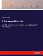 John F. Mines - A Tour Around New York
