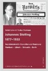 Detle Lehnert, Detlef Lehnert, Volker Stalmann - Johannes Stelling 1877-1933