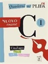 Alma Edizioni, ALM Edizioni, ALMA Edizioni - Quaderni del PLIDA C1 - Nuovo esame