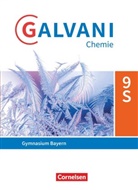 Birger Pistohl, Britta Frese, Christine Kreß, Frank Orlik, Britt Frese, Britta Frese... - Galvani - Chemie für Gymnasien - Ausgabe B - Für sprachliche, musische, wirtschafts- und sozialwissenschaftliche Gymnasien in Bayern - Neubearbeitung - 9. Jahrgangsstufe Schülerbuch