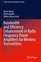 Shiban Kishen Koul, Karu Rawat, Karun Rawat, Patric Roblin, Patrick Roblin - Bandwidth and Efficiency Enhancement in Radio Frequency Power Amplifiers for Wireless Transmitters